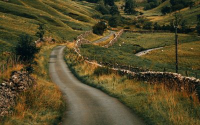 Welcome to A.Q. Park Books: Your Gateway to Enthralling Mysteries and Yorkshire Adventures!